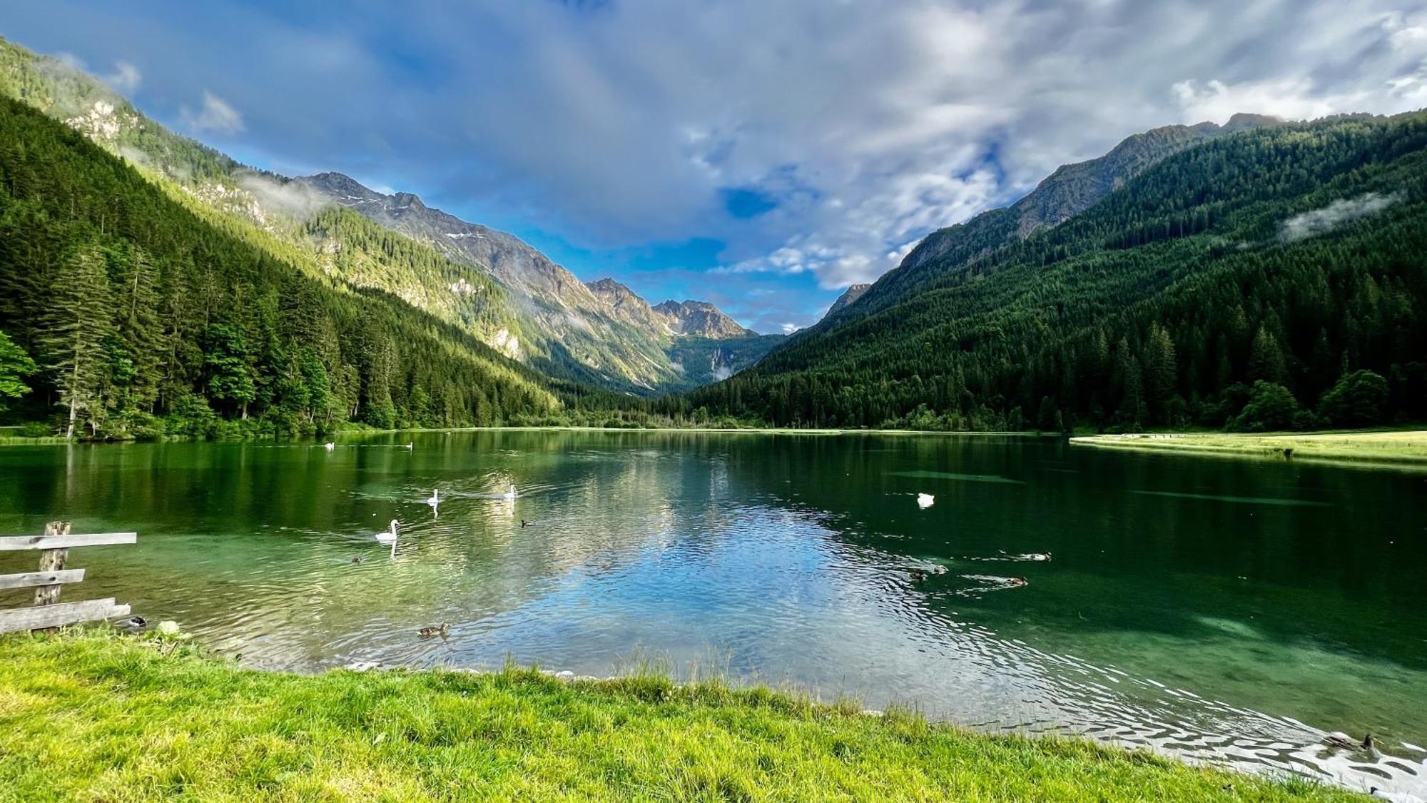 Landhaus Försterlisl Lägenhet Kleinarl Exteriör bild